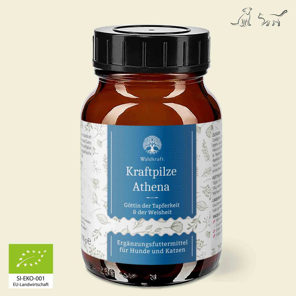 Kraftpilze Athena – Vitalpilz Synergetikum - 100g